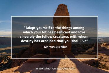 Adapt  yourself to the things among MarcusAureliusQuotes